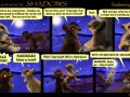 TLK3_Shadows_Pg29_by_Simbamarasa.jpg